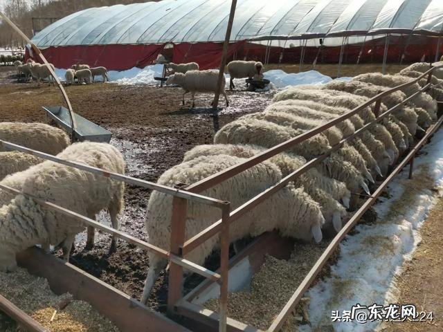 有乙肝炎除了喝酒抽烟,还有什么东西不能吃