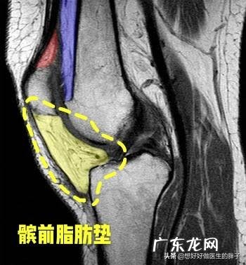 几个月前因为运动过度,导致膝关节疼痛,为什么不跑就不会疼了