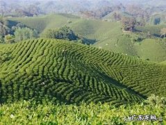 河南哪个市的口音最好听？