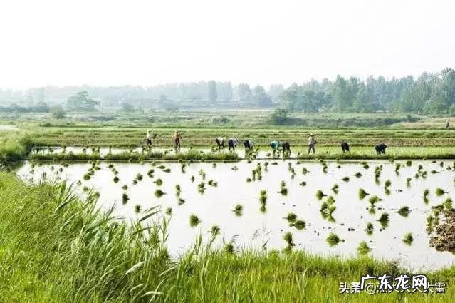 河南哪个市的口音最好听?