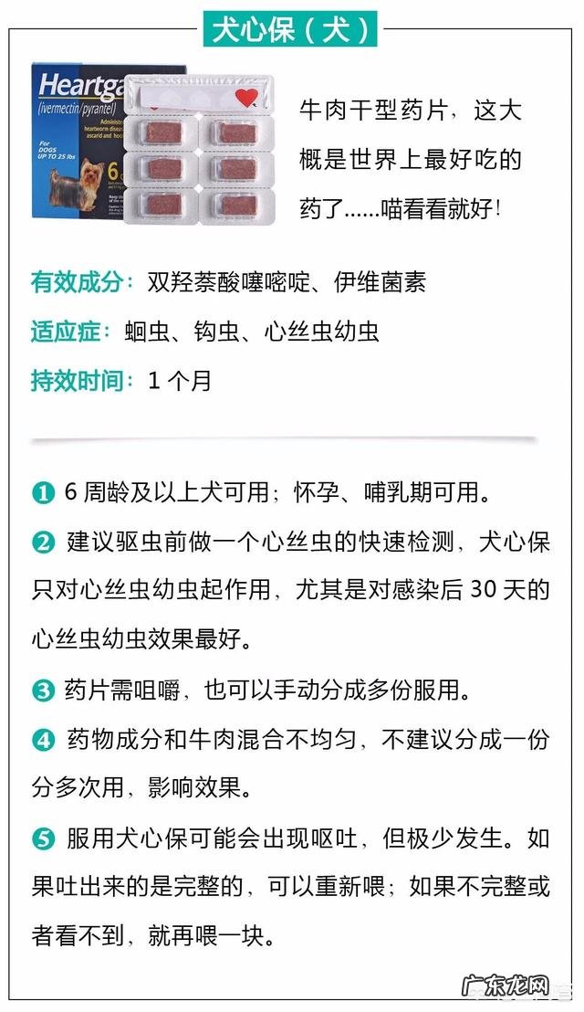 瘦弱的奶猫该怎么养？如何营养喂食？