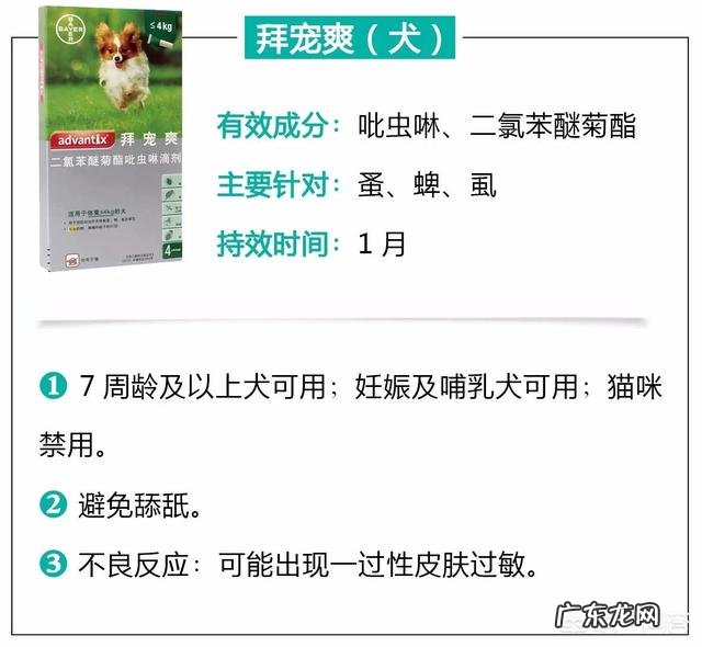 瘦弱的奶猫该怎么养？如何营养喂食？