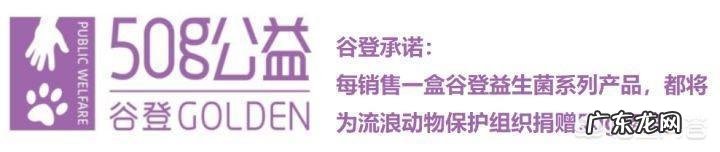 瘦弱的奶猫该怎么养?如何营养喂食?