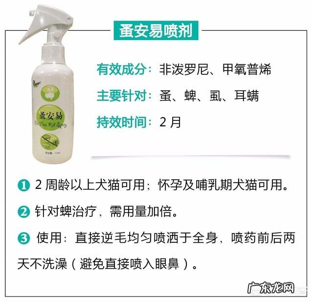 瘦弱的奶猫该怎么养？如何营养喂食？