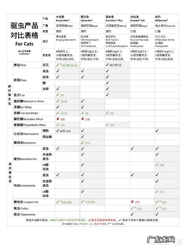 瘦弱的奶猫该怎么养？如何营养喂食？
