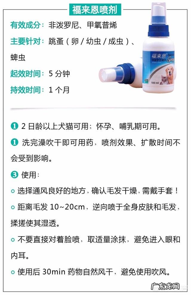 瘦弱的奶猫该怎么养？如何营养喂食？