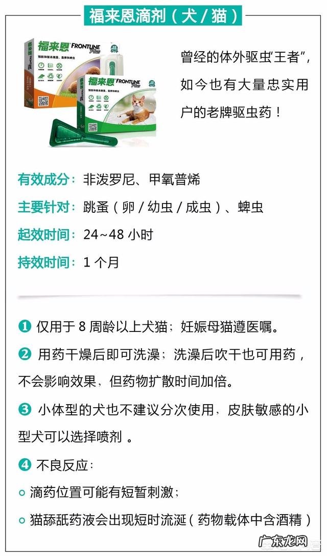 瘦弱的奶猫该怎么养？如何营养喂食？