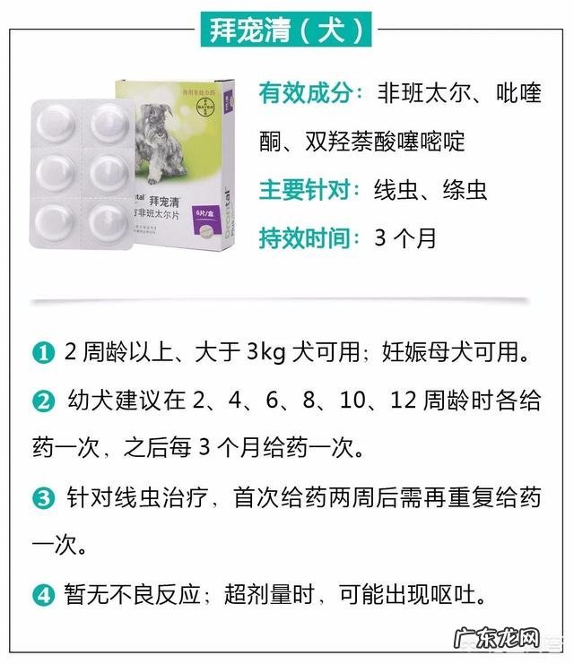 瘦弱的奶猫该怎么养？如何营养喂食？