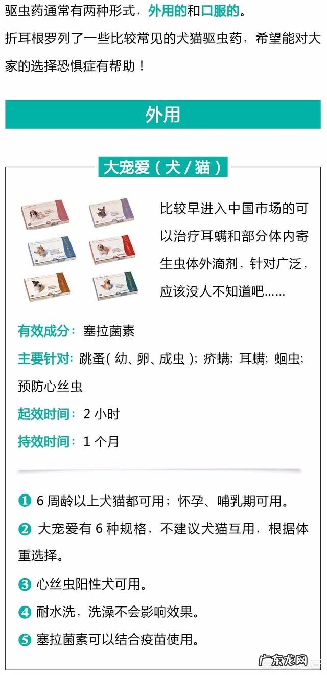 瘦弱的奶猫该怎么养？如何营养喂食？