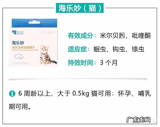 瘦弱的奶猫该怎么养？如何营养喂食？