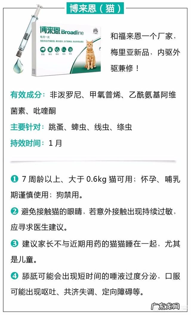 瘦弱的奶猫该怎么养？如何营养喂食？
