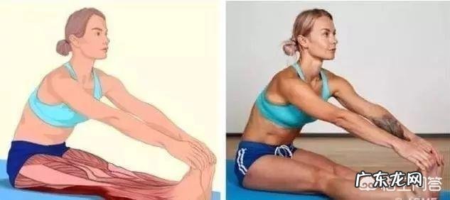 哪些运动可以锻炼腰背部肌肉，避免腰痛？