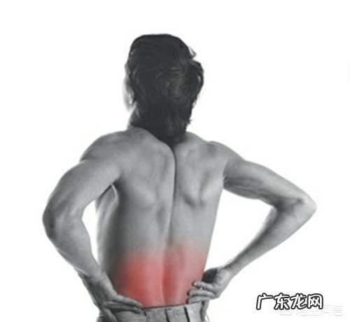 哪些运动可以锻炼腰背部肌肉，避免腰痛？