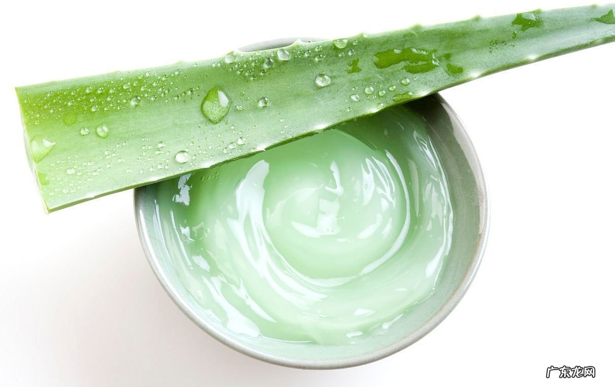 芦荟胶保质期多久 荟胶过期几天还能用吗