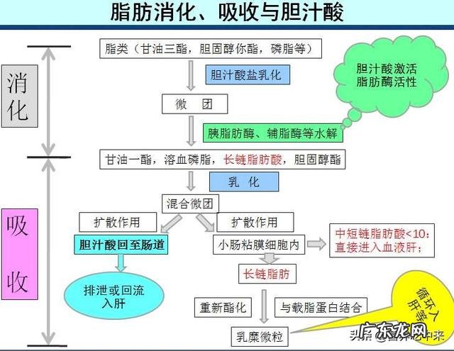 食物如果说一直处于真空状态下,能否一直长期保存?