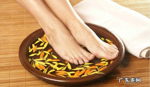 有没有比薏米祛湿好100倍的食物？