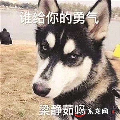 梁静茹给的勇气是什么梗 谁给你的勇气怎么接