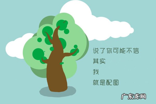 十字架车标是什么车同出于美系品牌