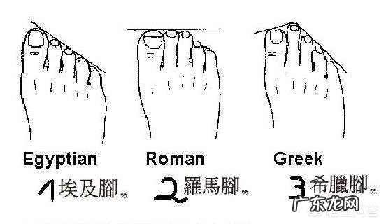 符凡迪的真实身份到底是什么样的?