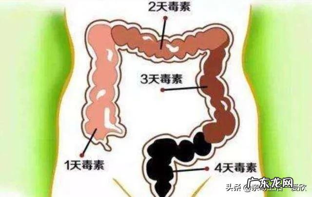 一天之中哪个时段排便最好?
