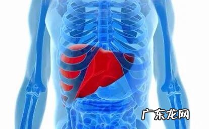 右上腹疼痛是什么原因?如何应对?