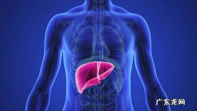 右上腹疼痛是什么原因?如何应对?