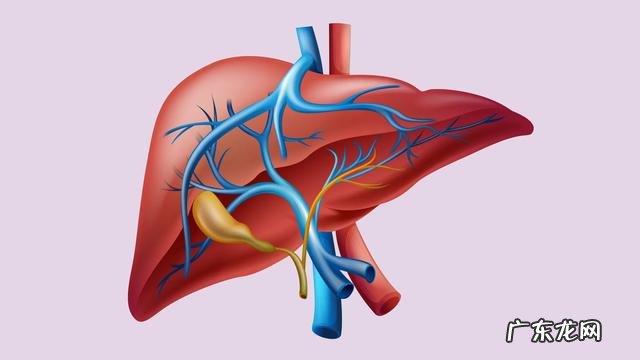 右上腹疼痛是什么原因?如何应对?
