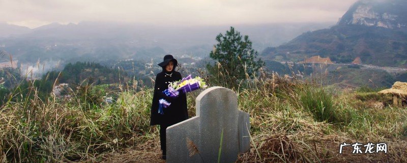 凶他兄弟的妈妈了局