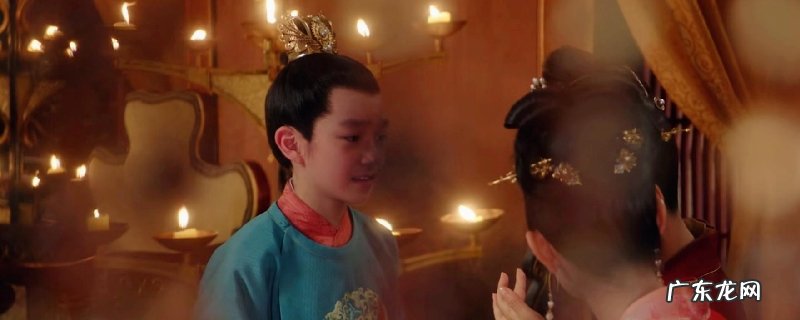 年夜宋宫词量子康怎样死的