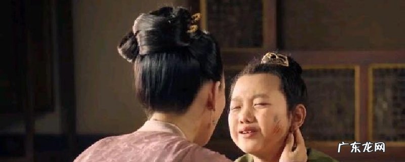 年夜宋宫词量子康怎样死的