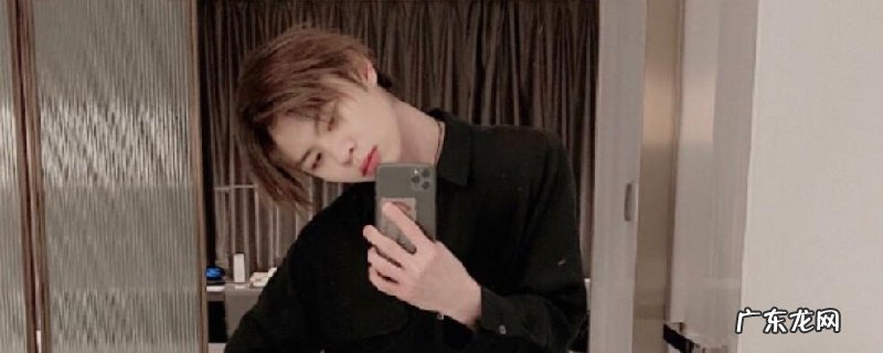 王朝艺河北那里人