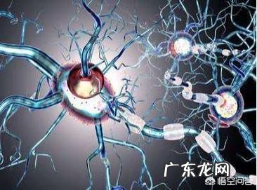 能否长期服用依帕司他片?需要注意什么?