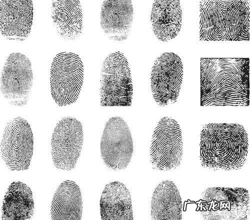 通过指纹能够辨识疾病吗?