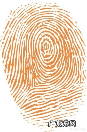 通过指纹能够辨识疾病吗?