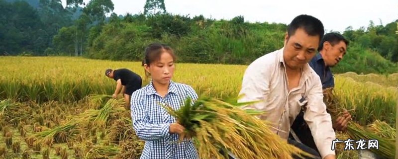 抖音包坐秋是甚么梗