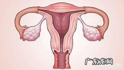 月经血的不同颜色预示了什么健康状态？