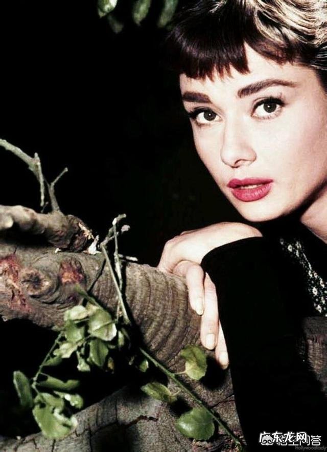 中国能与赫本的美貌、气质相媲美的女演员有谁?