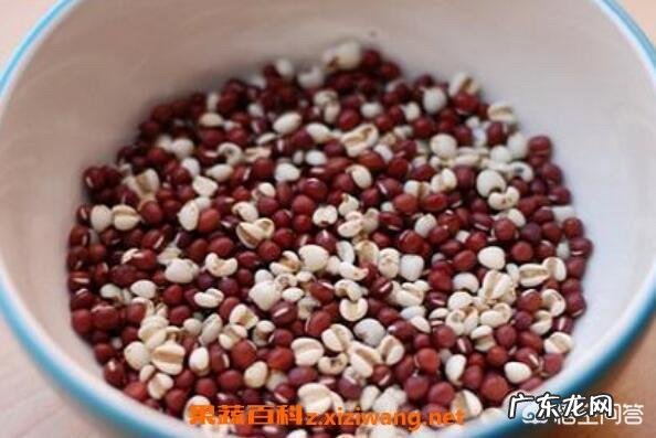 薏米粥的正确做法是什么?