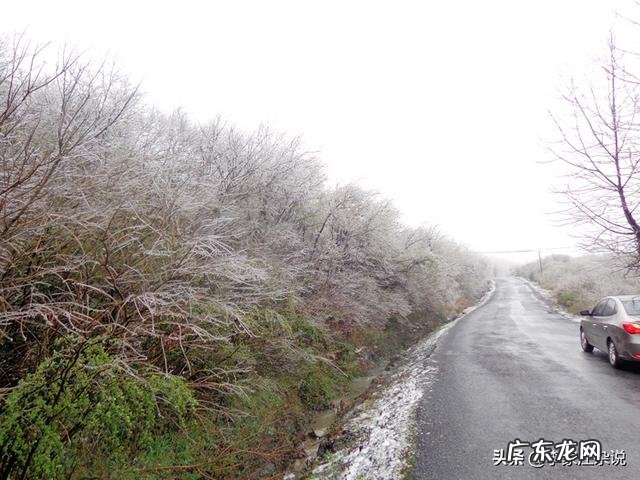 新冠肺炎疫情结束后,对你的生活会有哪些改变