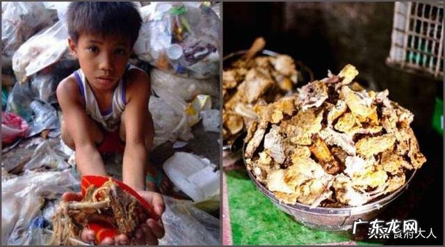 在菲律宾旅游的时候需要注意哪些问题