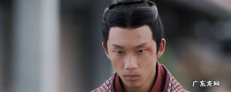 年夜秦赋中赵佾是谁