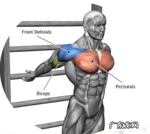 健身会产生哪些身体问题？