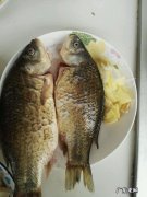 怎样做豆腐鲫鱼汤，下奶超快多，排恶露？ 下奶的鲫鱼汤豆腐怎么熬