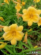 夏天来了，美妞们都开始减肥了吗？