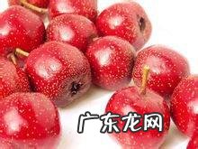 山楂是新鲜的好还是干的好？