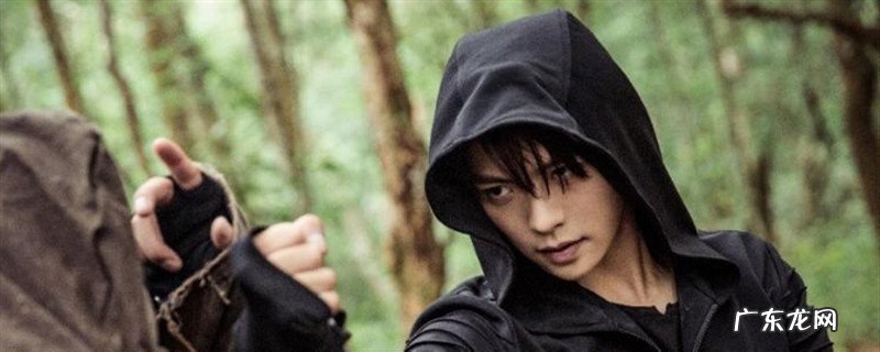 末极条记中的末极是甚么