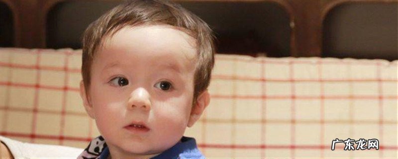 奶爸当家嘟嘟是混血吗