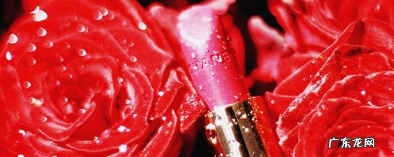 吃了心白实的会中毒吗