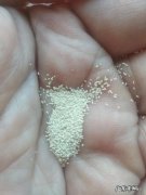 为了减肥成功，花费11000元值得吗？