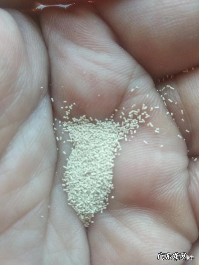 为了减肥成功,花费11000元值得吗?